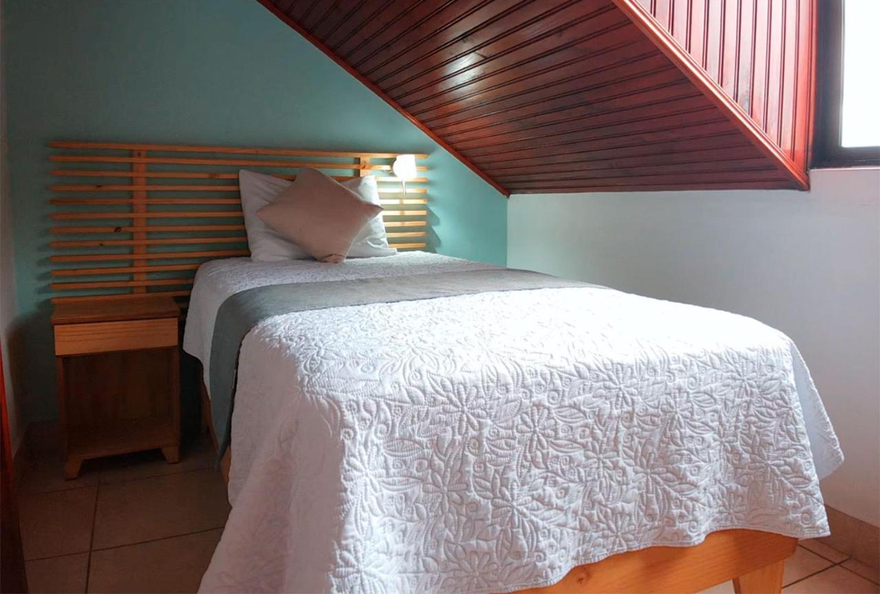 Trebol Amarillo Bed & Breakfast Escazú Dış mekan fotoğraf