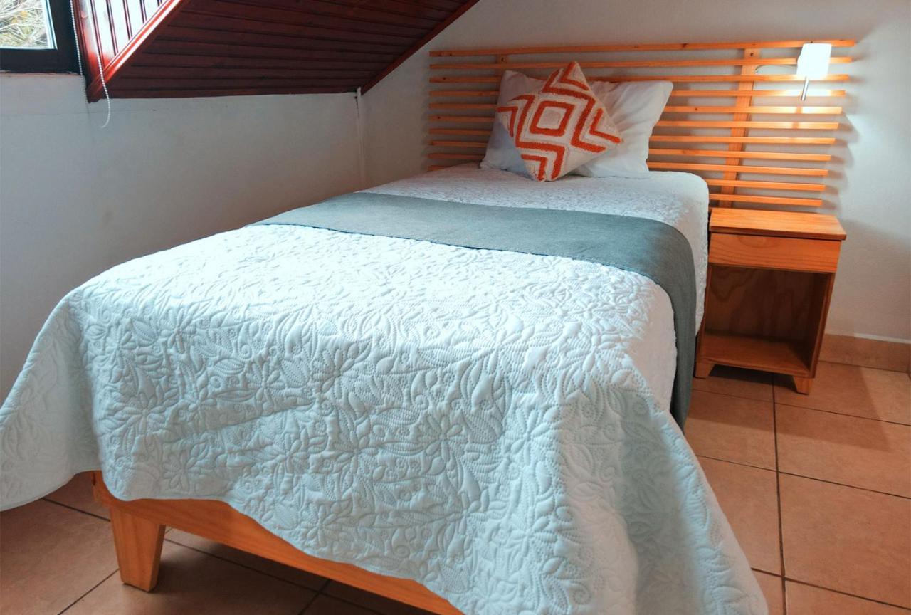 Trebol Amarillo Bed & Breakfast Escazú Dış mekan fotoğraf